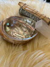 Load image into Gallery viewer, Abalone Shell