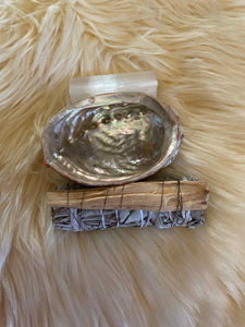 Abalone Shell